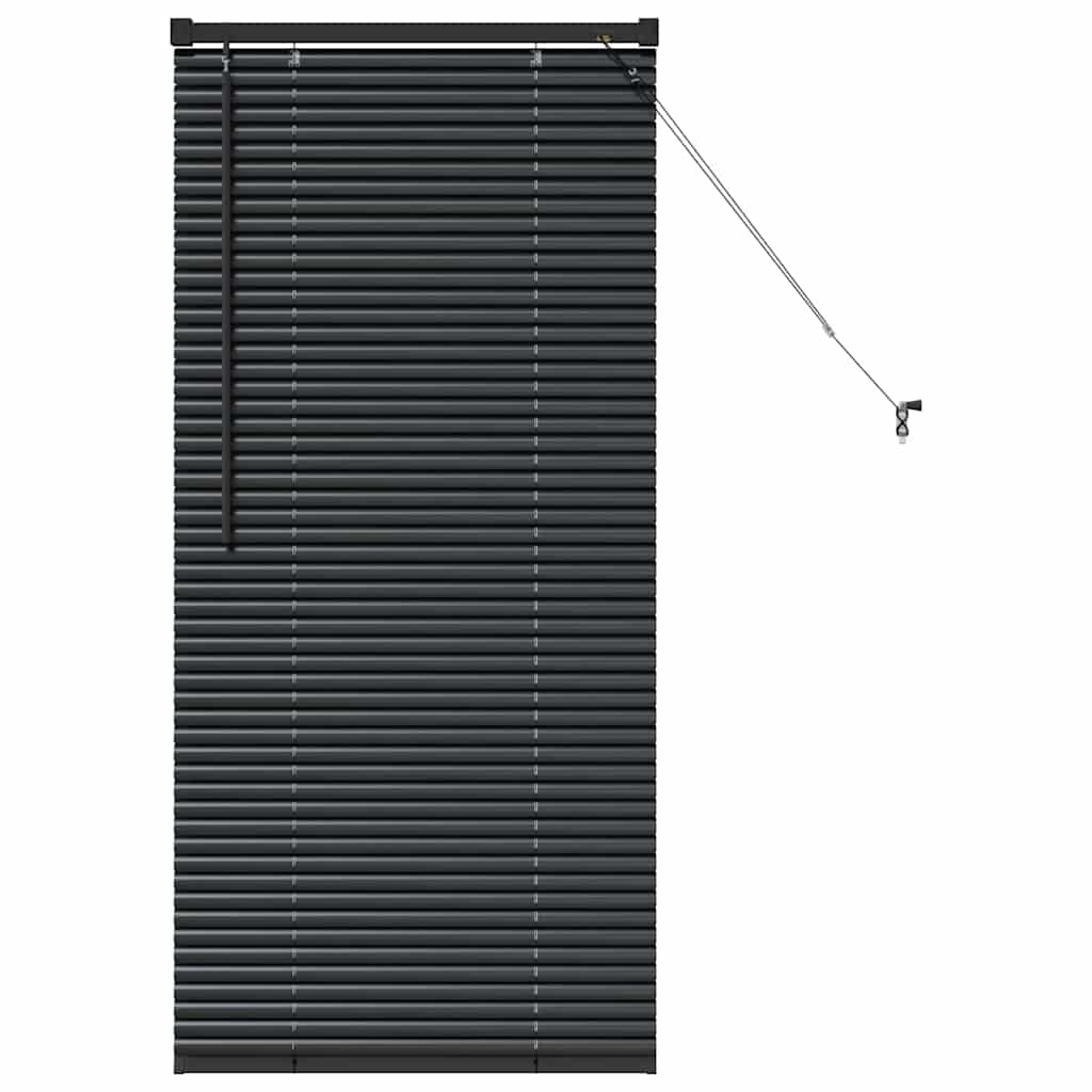 vidaXL Raamblind met gordijnen Zwart Aluminium
