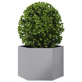 Gegalvaniseerd Staal Zeshoek Plantenbak 69x60x45 cm - 34% Korting!