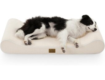 Orthopedisch Hondenbed voor Grote Honden - Beige, 29% Korting!
