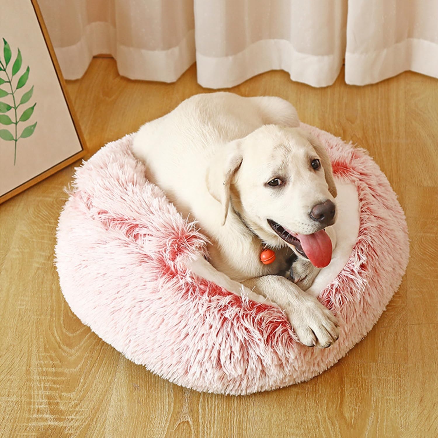Warm Schelpvormig Huisdierbed 70cm - Nu 29% Korting!