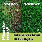 PLANTEMUS Rasendünger Turbo Effekt für 175 m² Ultrasoluble Mikrokristalle | Intensives Grün 7-9 Tage | Stickstoffreich - Deutsche Technologie 5.5 KG
