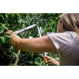 Fiskars Telescopische takkenschaar, bypass-takkenschaar voor jong hout, antikleeflaag, gehard precisiestaal, lengte handgrepen: 66 - 90 cm, zwart/oranje, SmartFit, L86, 1013564