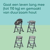 Bebeconfort Timba 2 Meegroeistoel met kussen - Grey Mist - Verstelbaar tot 110 kg