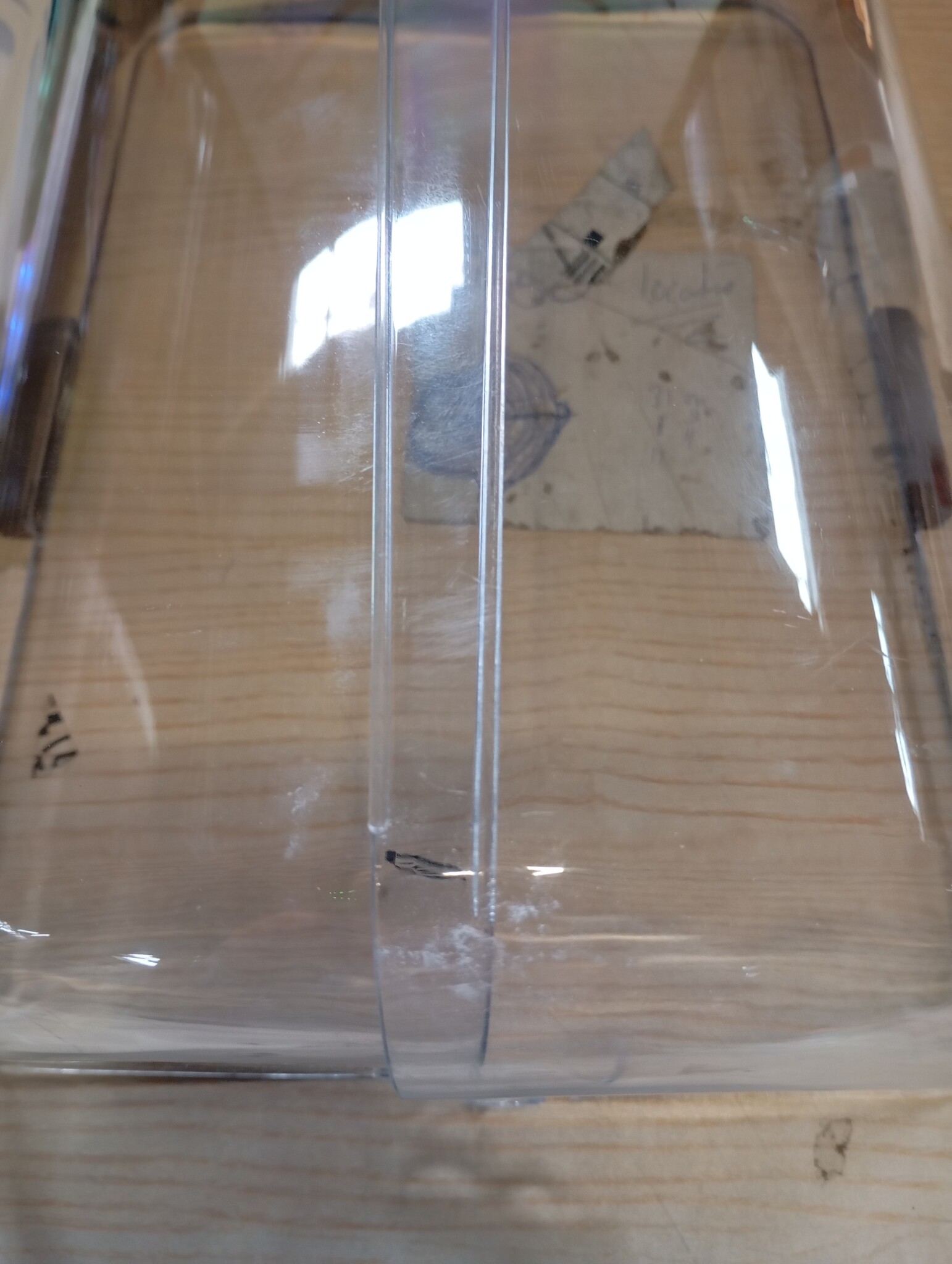 HENDI Buffet vitrine, dubbel, transparante roldeksels, van beide zijden toegang, buffet display, presentatie display, 380x260x(H)355mm, polystyreen