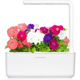 Petunia Kweekcapsules voor Smart Garden (3 stuks) - 72% Korting