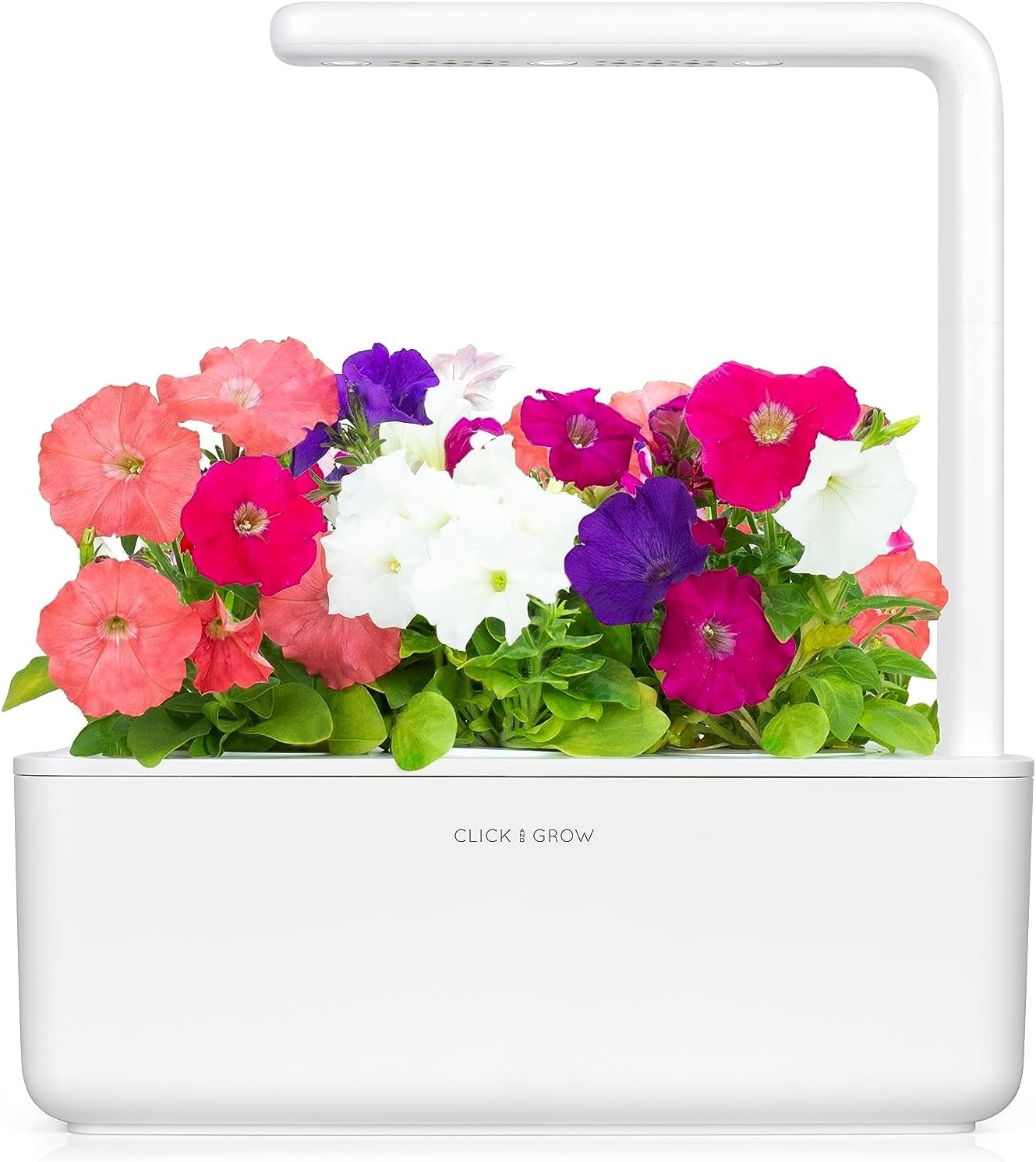 Petunia Kweekcapsules voor Smart Garden (3 stuks) - 72% Korting