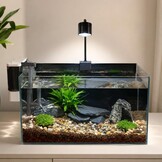 Unocho Natuurlijke leisteen reptiel koesteren platform rotsen 20 lb schildpad habitat platte rotsen voor aquarium amfibieën vivariums paludarium tuin landschapsarchitectuur en modelspoorweg (2-8 inch)
