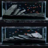 Unocho Natuurlijke leisteen reptiel koesteren platform rotsen 20 lb schildpad habitat platte rotsen voor aquarium amfibieën vivariums paludarium tuin landschapsarchitectuur en modelspoorweg (2-8 inch)