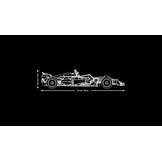 LEGO Technic Ferrari SF-24 F1 auto Bouwpakket voor Volwassenen met 1:8 Schaal Modelauto met V6-Motor, Besturing en DRS, Formule 1 Vaderdag Cadeau voor Hem, Haar, Alle Fans van Motorsport 42207