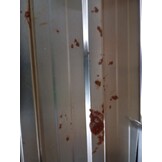 vidaXL Plantenbak verhoogd 100x100x77 cm cortenstaal roestig