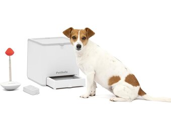 Honden Trainingsapparaat: Snackdispenser met Afstandsbediening - 35% Korting