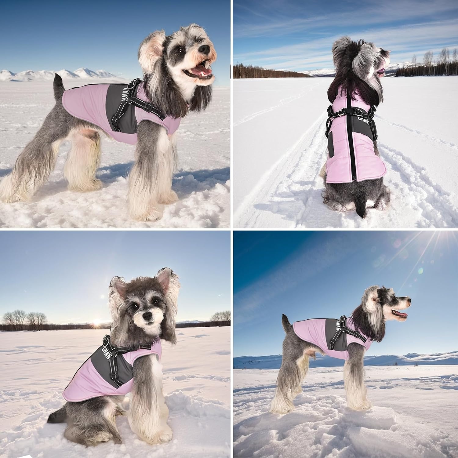 Hondenwinterjas Roze Maat M - 2-in-1 met Harnas | 32% Korting