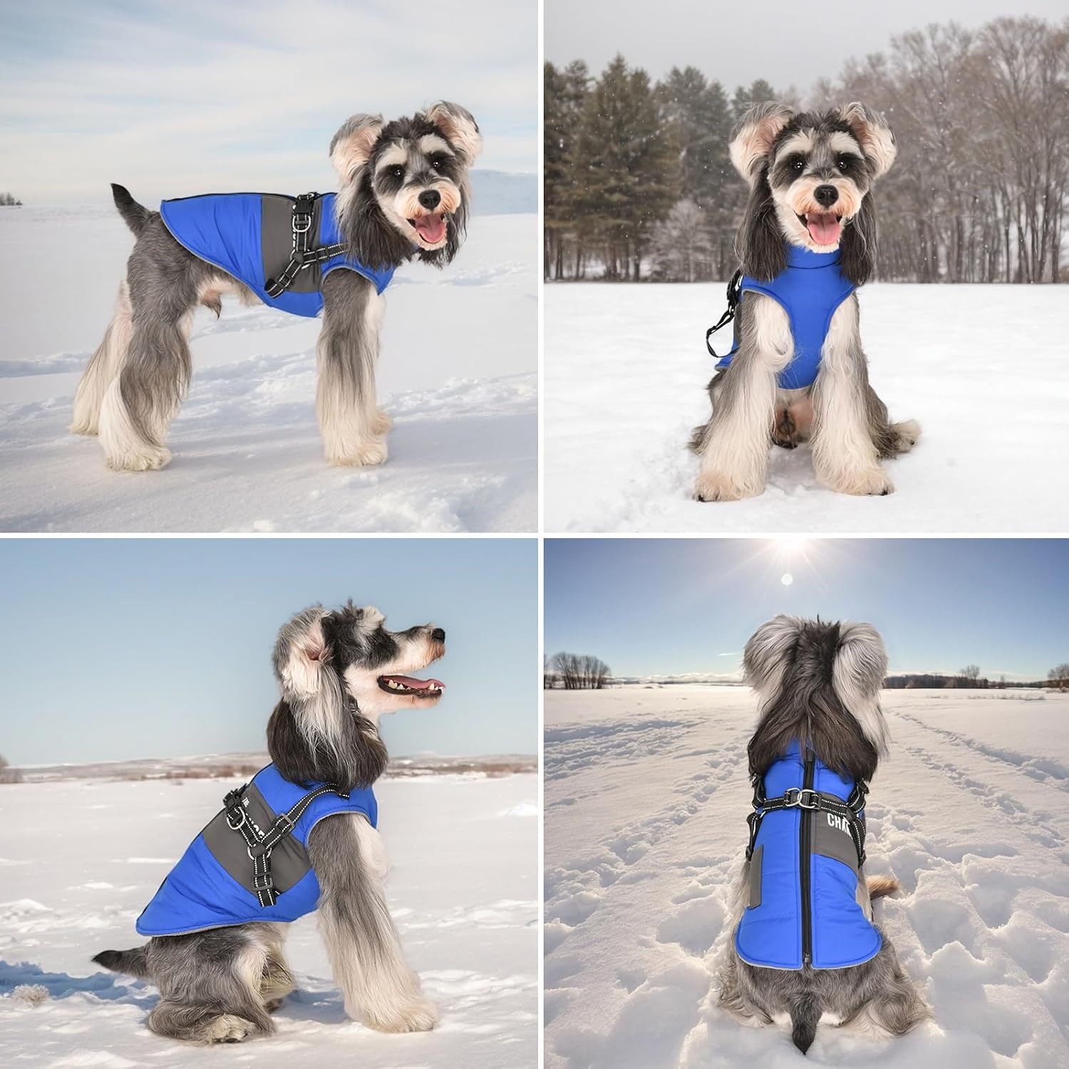 Hondenjas met tuigje | Warm & Waterdicht | L | Blauw | 58% Korting