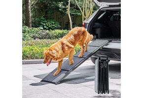 Opvouwbare Hondenloopplank (Grote Honden) - 170cm, 34% Korting