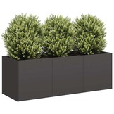 Stevige Stalen Plantenbak 120x40x40 cm Zwart - 34% Korting!