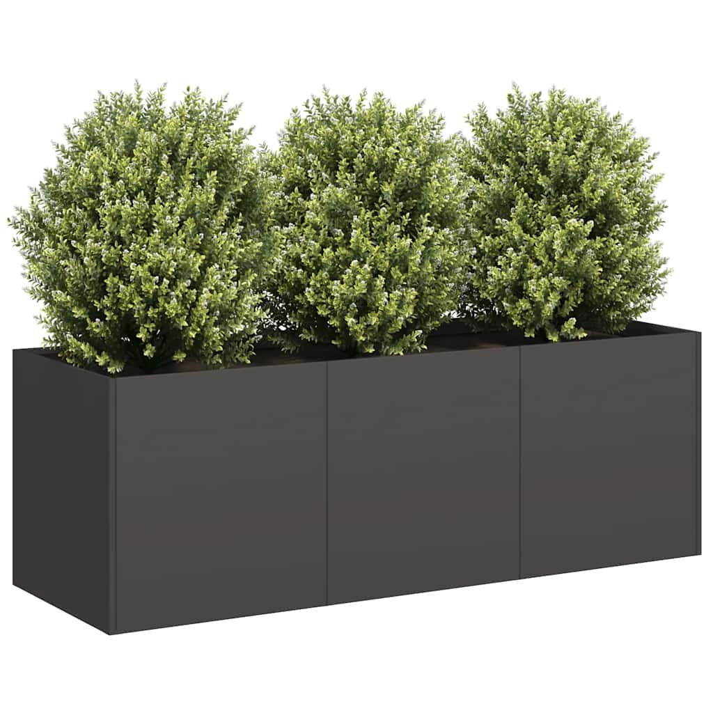 Stevige Stalen Plantenbak 120x40x40 cm Zwart - 34% Korting!