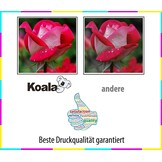 5-Pack Hoge Capaciteit Tonerset voor Brother TN241/TN245 - 59% Korting