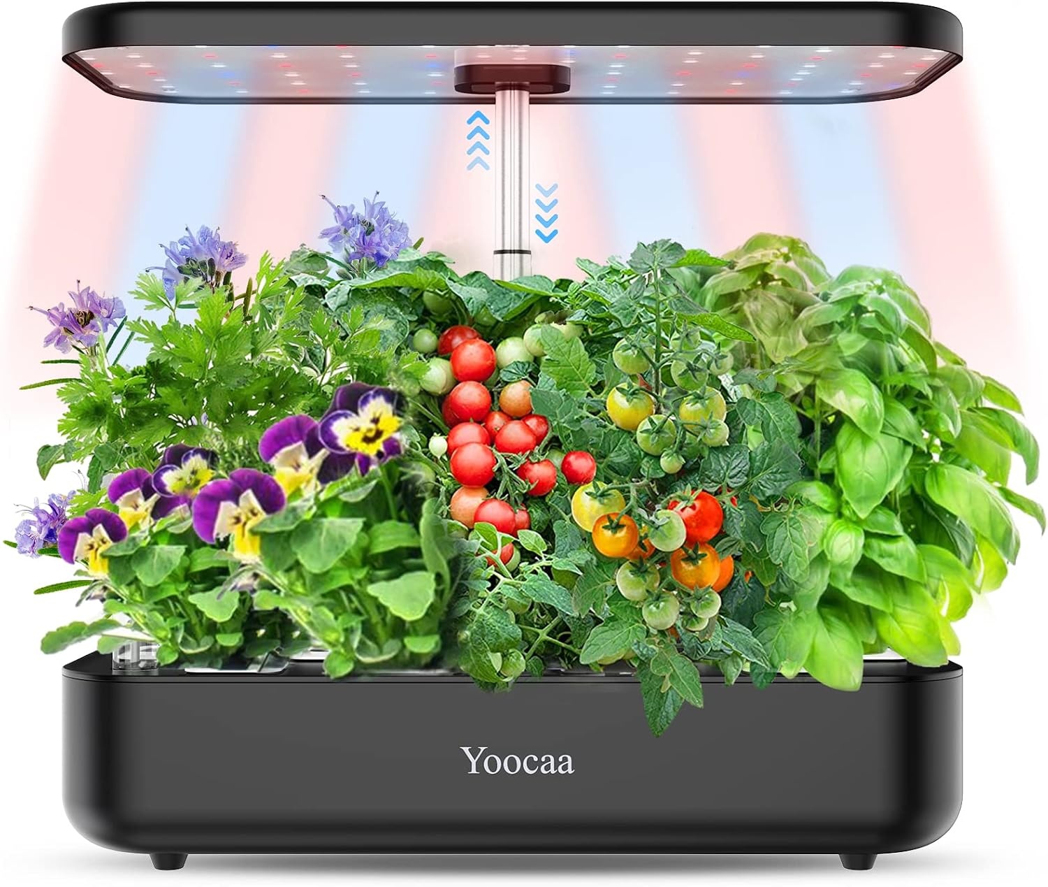 Hydroponisch Kweeksysteem 12-Pods met LED, Zwart - 29% Korting
