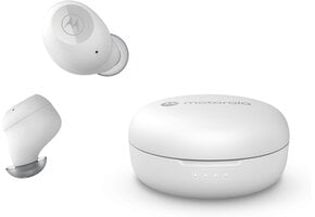 Draadloze Oordopjes Motorola Sound MOTO BUDS 150 - Wit - 33% Korting