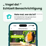 NETVUE Birdfy Slimme Vogelsvoerhuis met 1080P Camera en AI-herkenning - Bamboe - 3,5 liter
