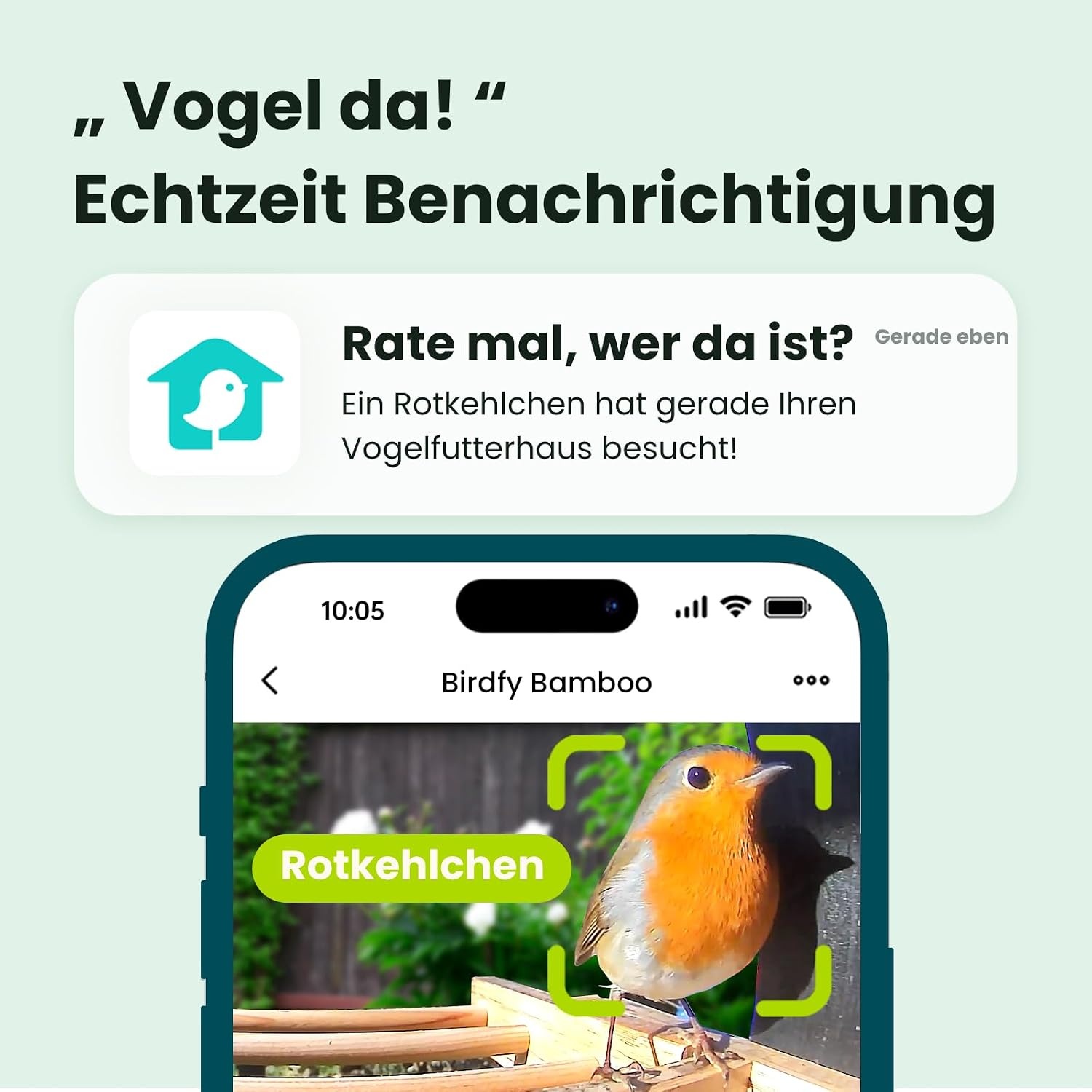 NETVUE Birdfy Slimme Vogelsvoerhuis met 1080P Camera en AI-herkenning - Bamboe - 3,5 liter