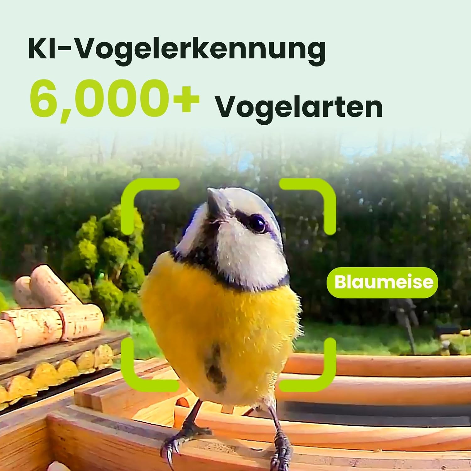 NETVUE Birdfy Slimme Vogelsvoerhuis met 1080P Camera en AI-herkenning - Bamboe - 3,5 liter