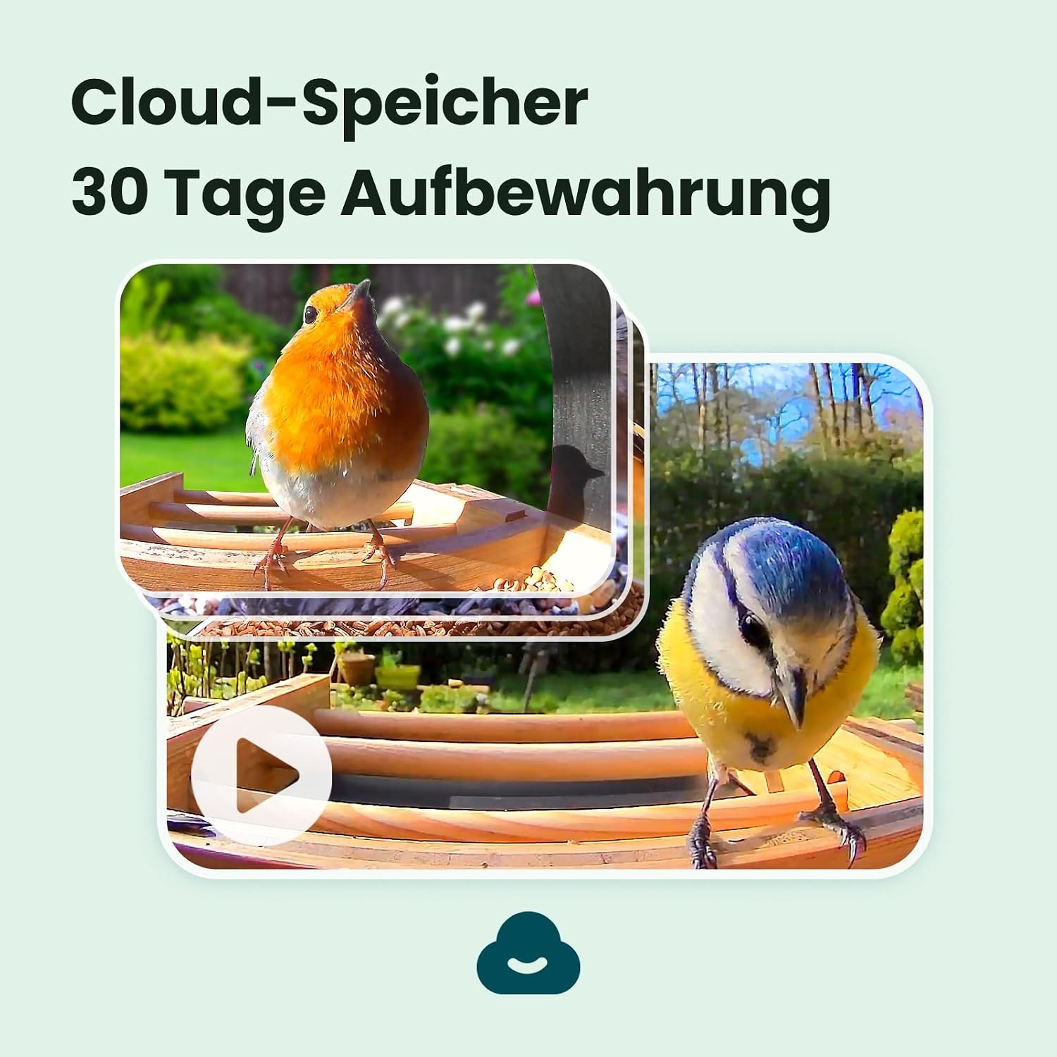 NETVUE Birdfy Slimme Vogelsvoerhuis met 1080P Camera en AI-herkenning - Bamboe - 3,5 liter