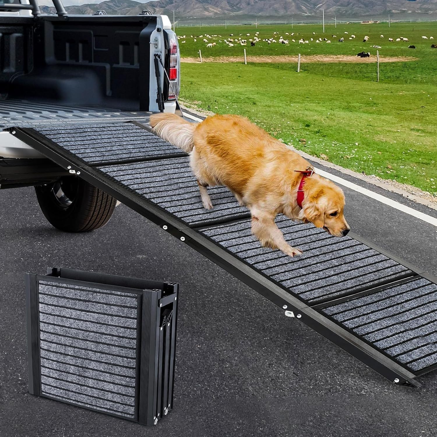 Snagle Paw Opvouwbare Hondenloopplank - 180 x 50 cm - Zwart