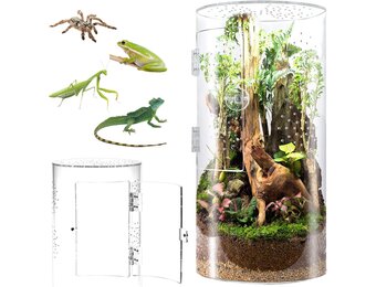 360° Panorama Springspin, Acryl Terrarium 29x19x19cm,Vogelspinnenkooi met Kruisventilatie,Onbreekbare Waterdicht Reptielenhouder,Container voor Schildpad, Aapje, Vijvervis, Mol, Varken, Kevers