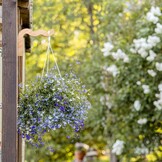 2 Houten Plantenhaken Naturel | Wandhangers | Set van 2 | 23,3 cm
