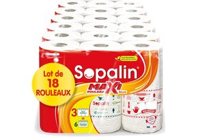 Decoratieve Keukenrol 18 Maxi Rollen (33% Korting)