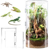 Cilindrisch Acryl Terrarium Springspinnen | 52% Korting