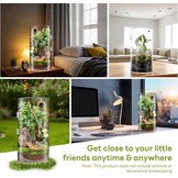 Cilindrisch Acryl Terrarium Springspinnen | 52% Korting