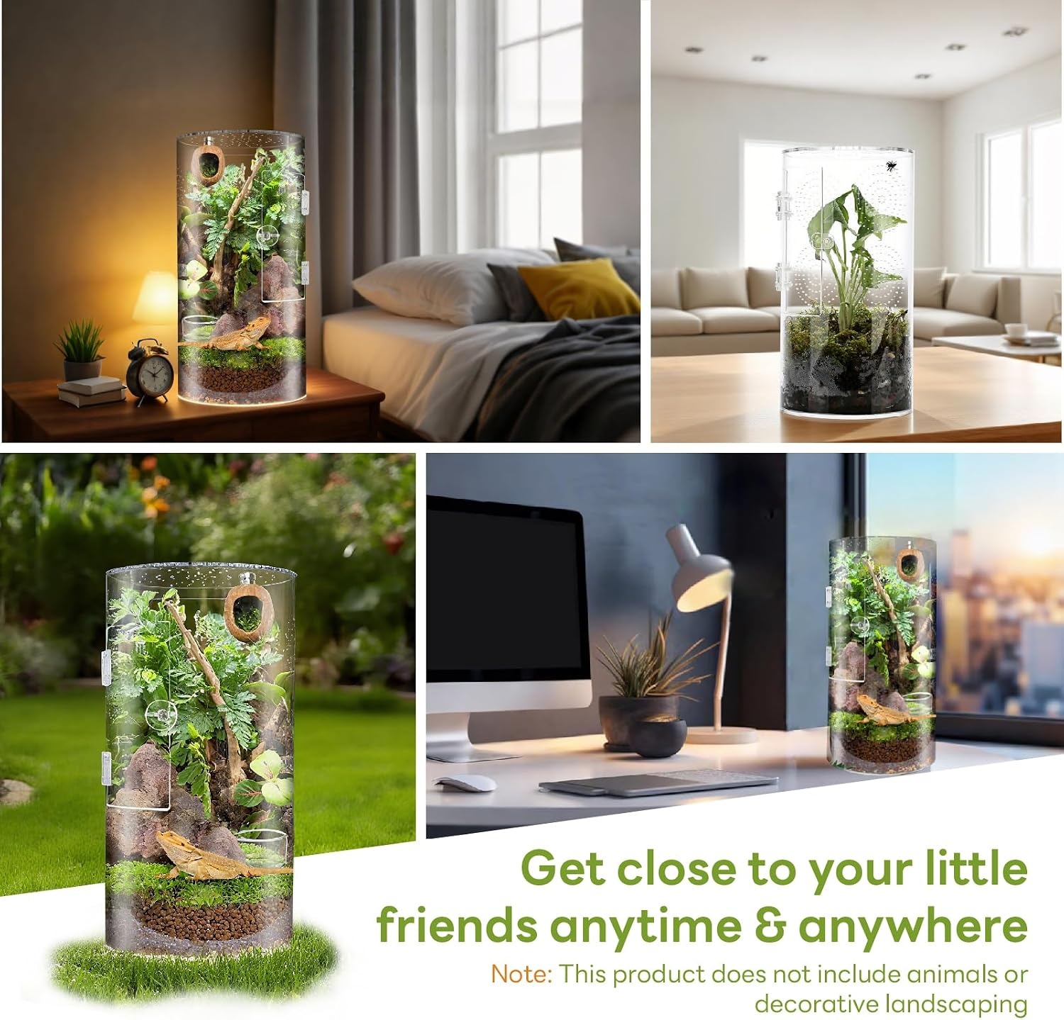 Cilindrisch Acryl Terrarium Springspinnen | 52% Korting