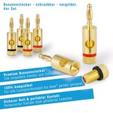 PureLink SP060-010 luidsprekerkabel 2 x 2,5mm² (99,9% OFC, massieve koperstrengen 0,20 mm) hifi boxkabel, 10m, transparant, set incl. 4 banaanstekkers
