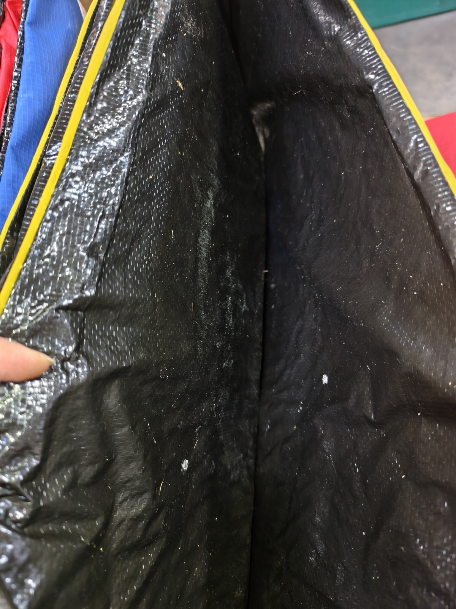 Trampoline rand multi-gekleurd 305 cm diameter regenboog