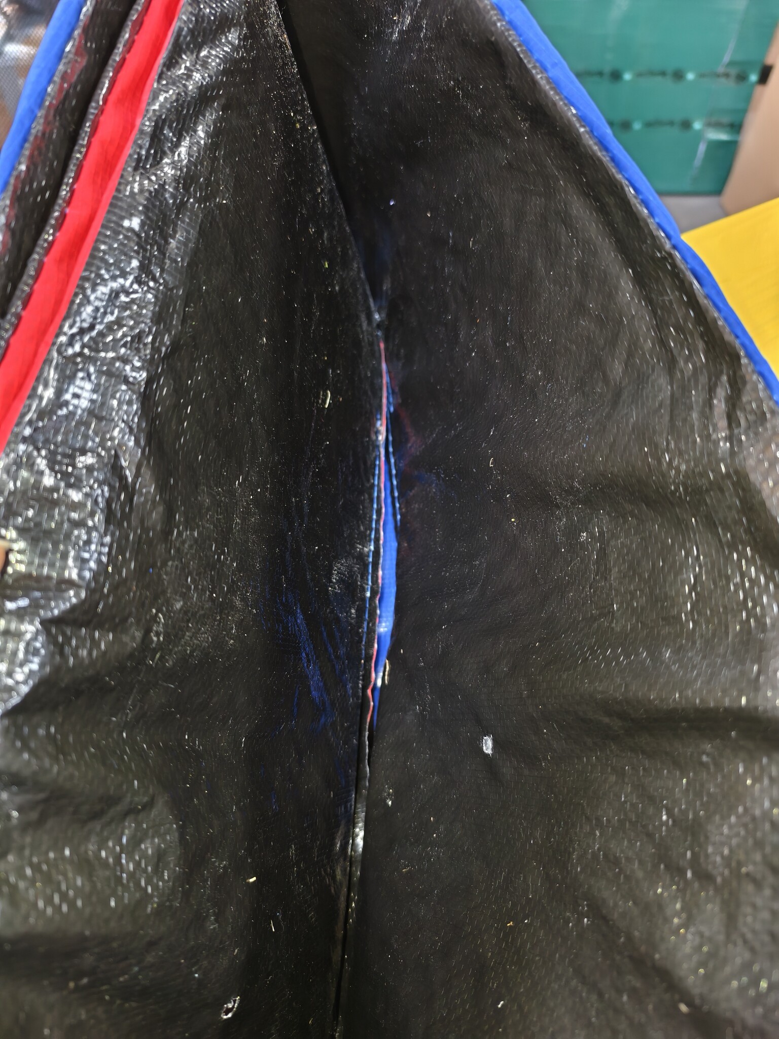 Trampoline rand multi-gekleurd 305 cm diameter regenboog