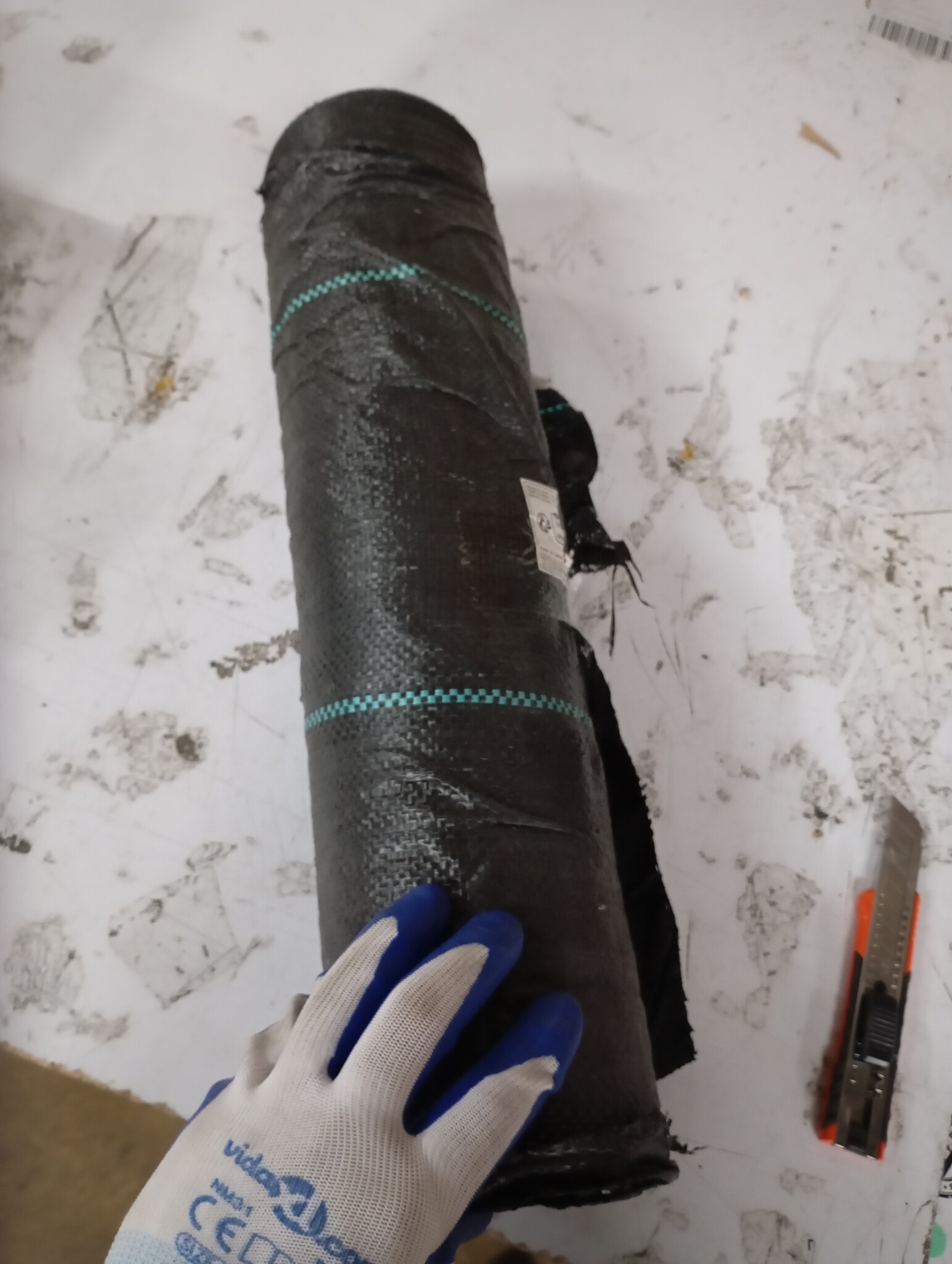 vidaXL Worteldoek 0,5x100 m PP zwart