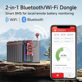 Smart BMS 12V LiFePO4 Accu Systeem 300A met 5A Balancering & WiFi