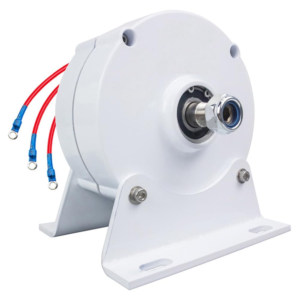 600 W permanente magneetgenerator 12 V, 24 V, 48 V, 750 r/m, 3 fasen, transmissievrij, wisselstroom, synchrone generator, zeldzame aard-NdFeB, elektromotor, windmolengenerator, met - Maat 24V