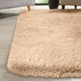 FVVRAX Pluizig hoogpolig tapijt, 120 x 180 cm, Beige, extra zacht shaggy tapijt, antislip, voor woonkamer, slaapkamer, knuffelig vloertapijt voor huisdieren