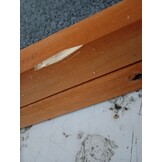 vidaXL Hondenloopplank 120x30 cm massief vurenhout grijs
