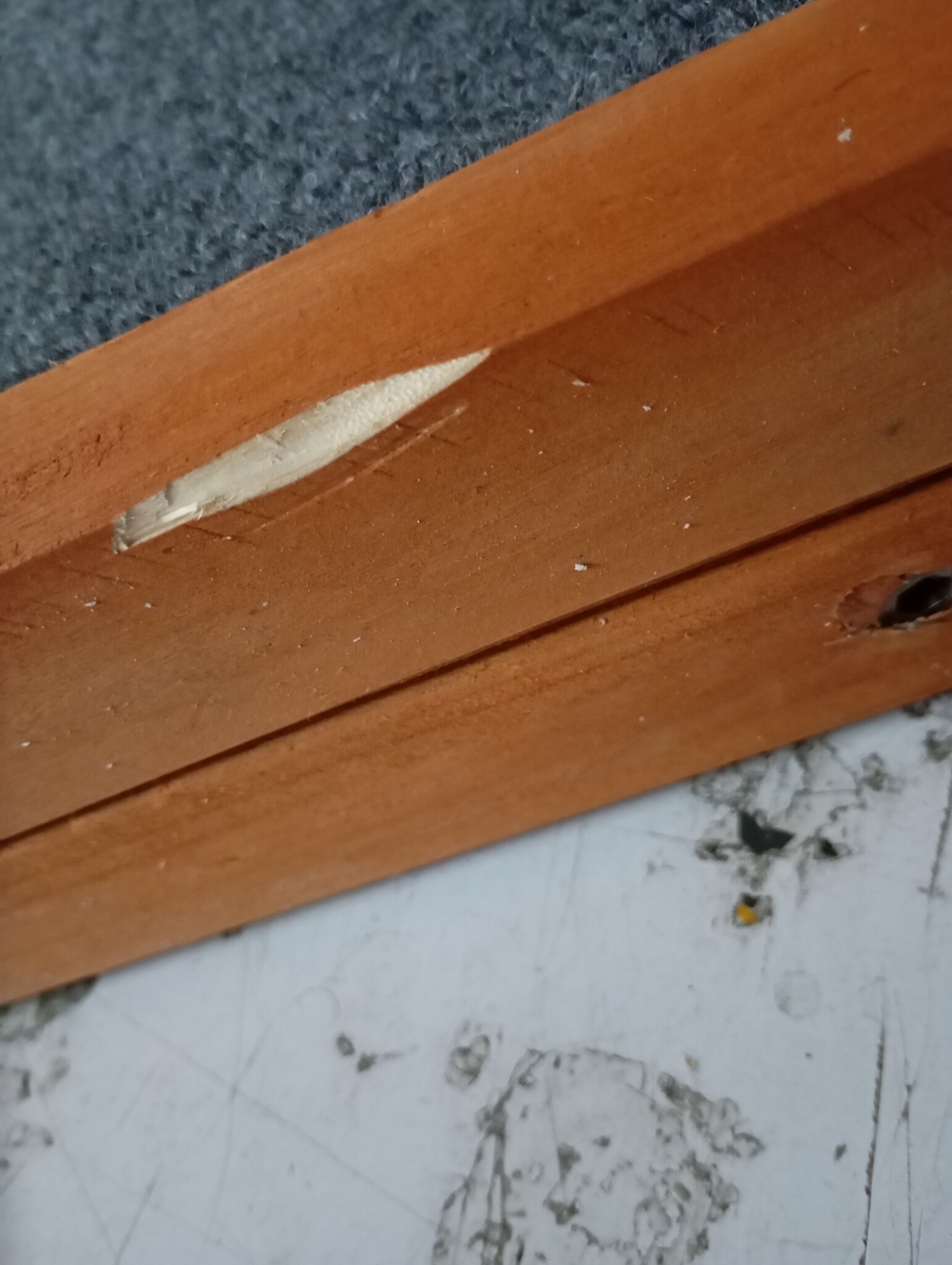 vidaXL Hondenloopplank 120x30 cm massief vurenhout grijs