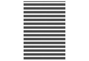 VidaXL Zebra rolgordijn Zwart (165x200 cm) - 40% Korting