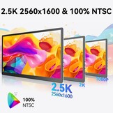10,5 inch OLED Touchscreen draagbare monitor, 2,5K 2560x1600, 100% NTSC, 54000:1 contrast, mini second touch display met beschermhoes en luidspreker, USBC, HDMI, klein scherm voor laptop, mini-pc