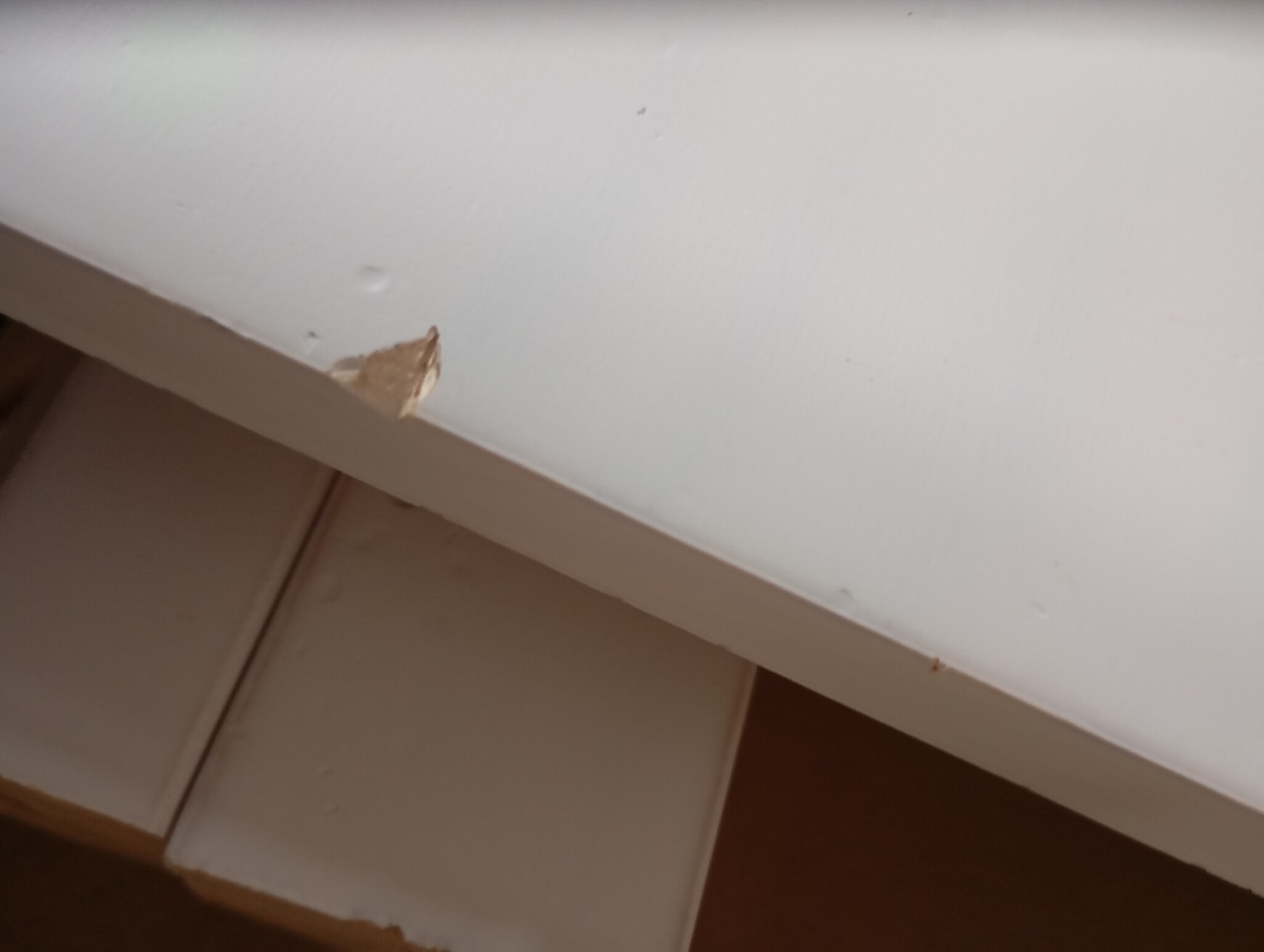 vidaXL Wandtafel Grenenhout Wit - 80x40x75 cm | 53% Korting