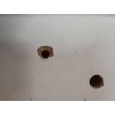 vidaXL Wastafelkast 40x37x59 cm Wit (53% Korting)