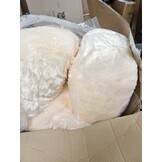 XXL Beige Teddybeer 220 cm | Gigantische Knuffelbeer met 54% Korting