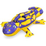 Opblaasbare Salamander Zwemband 190x119cm - 28% Korting!