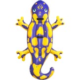 Opblaasbare Salamander Zwemband 190x119cm - 28% Korting!